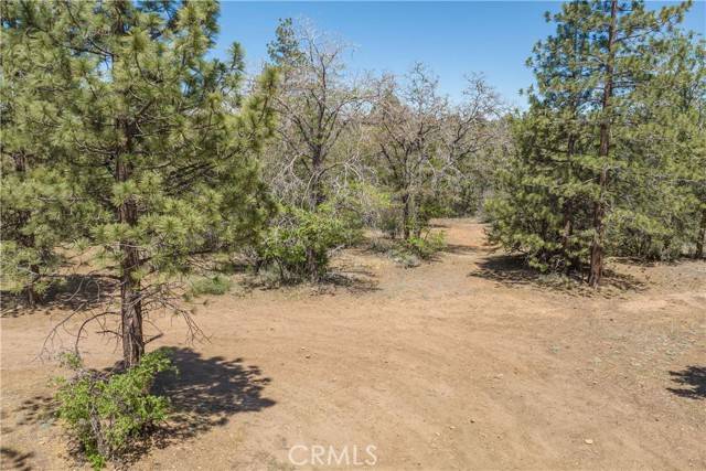 Sugar Loaf, CA 92386,0 Bear Hollow