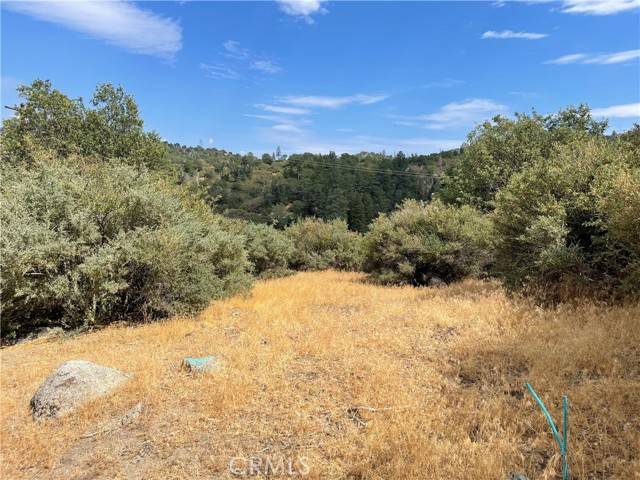 Cedar Glen, CA 92321,671 Hill