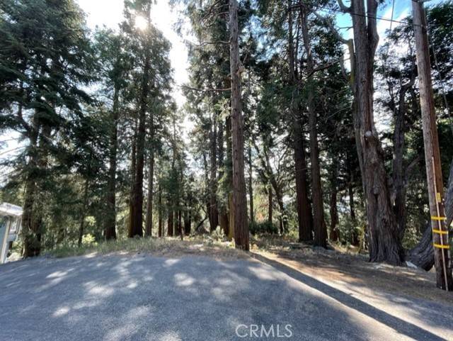 Cedarpines Park, CA 92322,0 Lakeland View