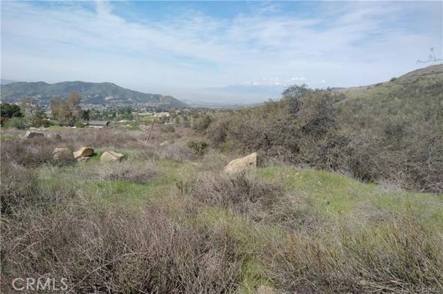 Oak Glen, CA 92399,0 Ivy