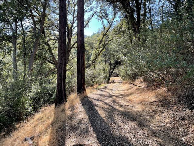 Cedarpines Park, CA 92322,5 Deer Run