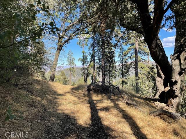 Cedarpines Park, CA 92322,5 Deer Run