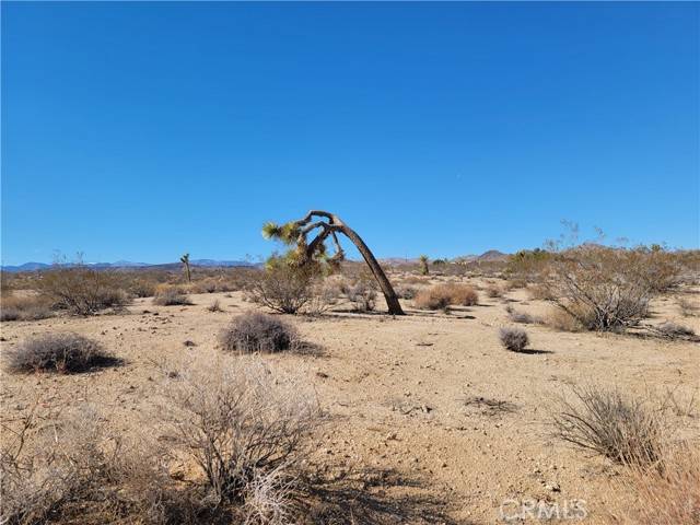 Yucca Valley, CA 92285,43 S Cambria