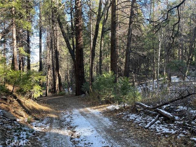 Cedarpines Park, CA 92322,3 Burnt Mill Canyon