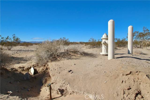 Joshua Tree, CA 92252,8 Lot 08 Winters