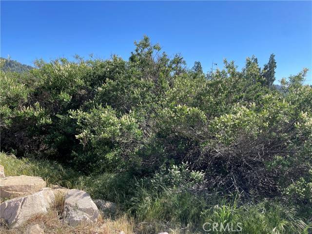 Cedar Glen, CA 92321,17 Lot 17 Lupin