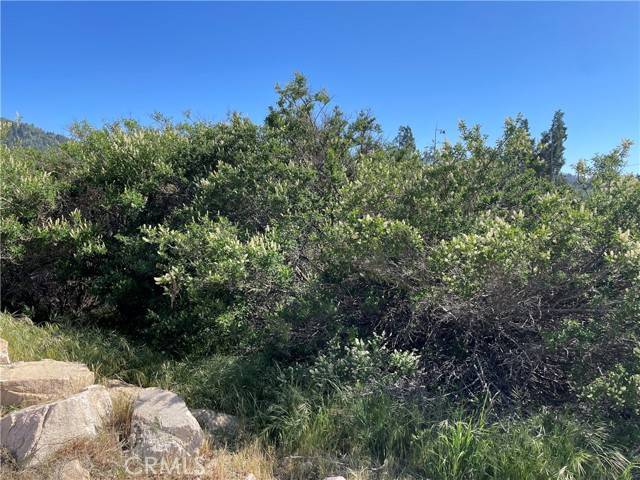 Cedar Glen, CA 92321,17 Lot 17 Lupin