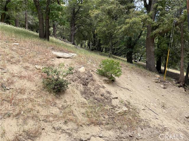 Cedarpines Park, CA 92322,42 Lot 42 Burnt Mill Canyon