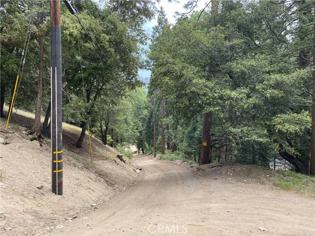 Cedarpines Park, CA 92322,42 Lot 42 Burnt Mill Canyon