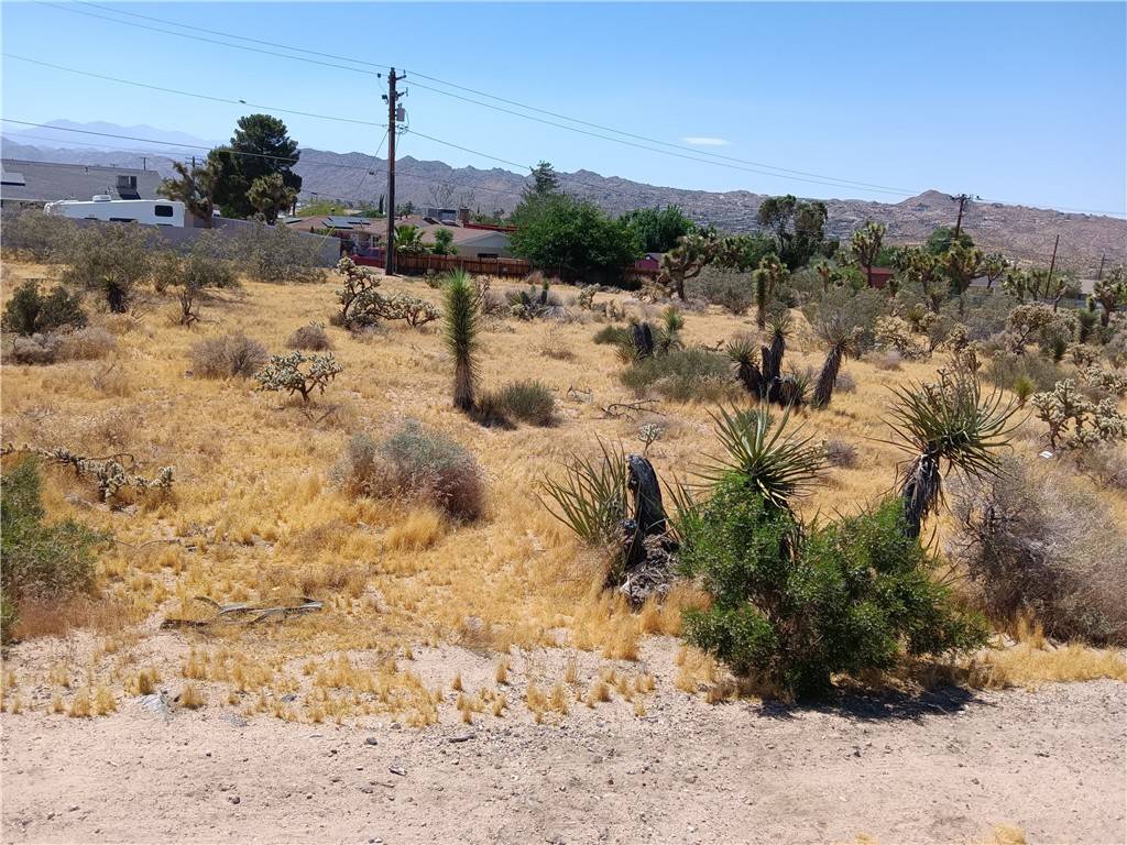 Yucca Valley, CA 92284,7286 Palomar