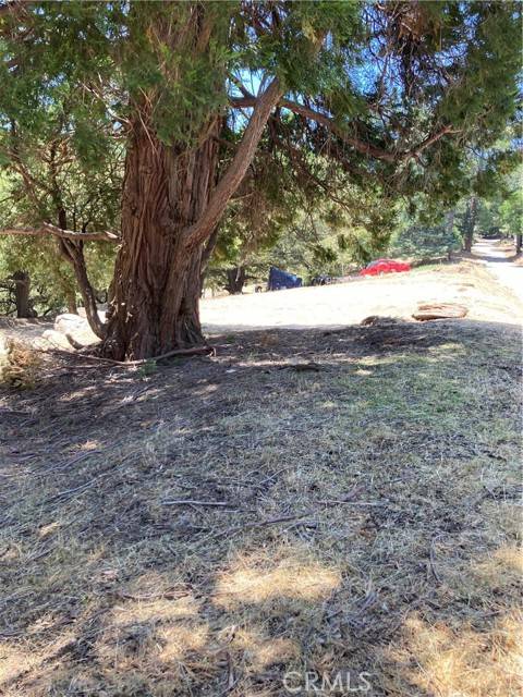 Cedarpines Park, CA 92322,0 Bone Dr #74-75