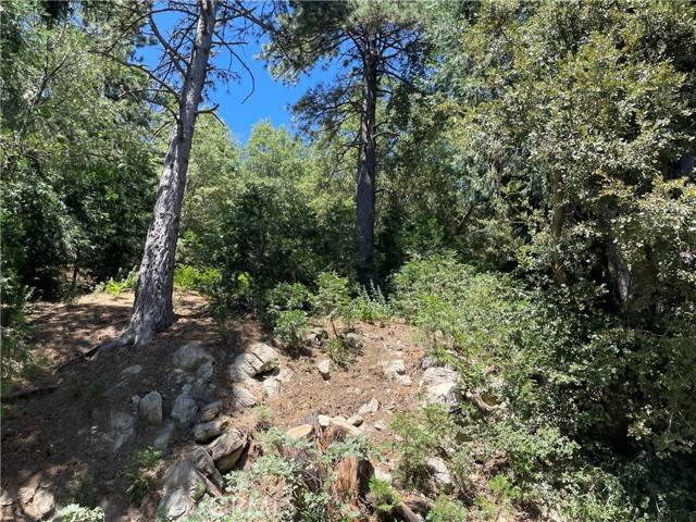 Cedarpines Park, CA 92322,16 Lot 16 Sawpit Canyon