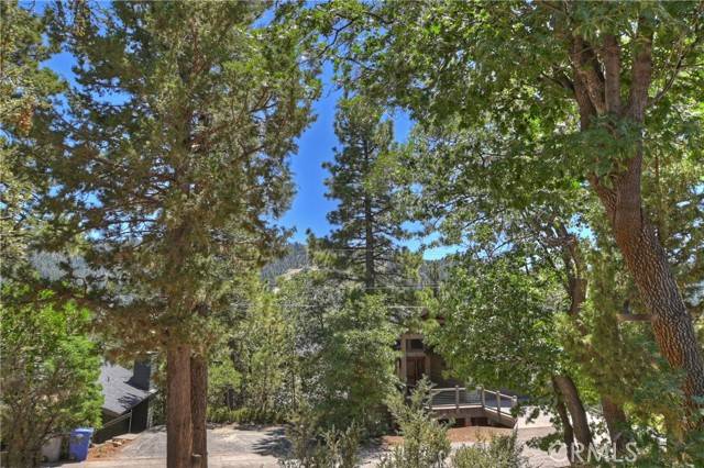 Big Bear City, CA 92314,1254 Sheep Horn Road