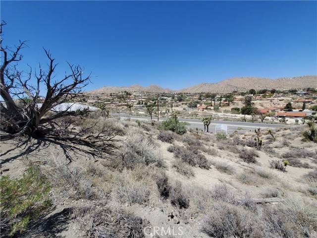 Yucca Valley, CA 92284,54553 Twentynine Palms