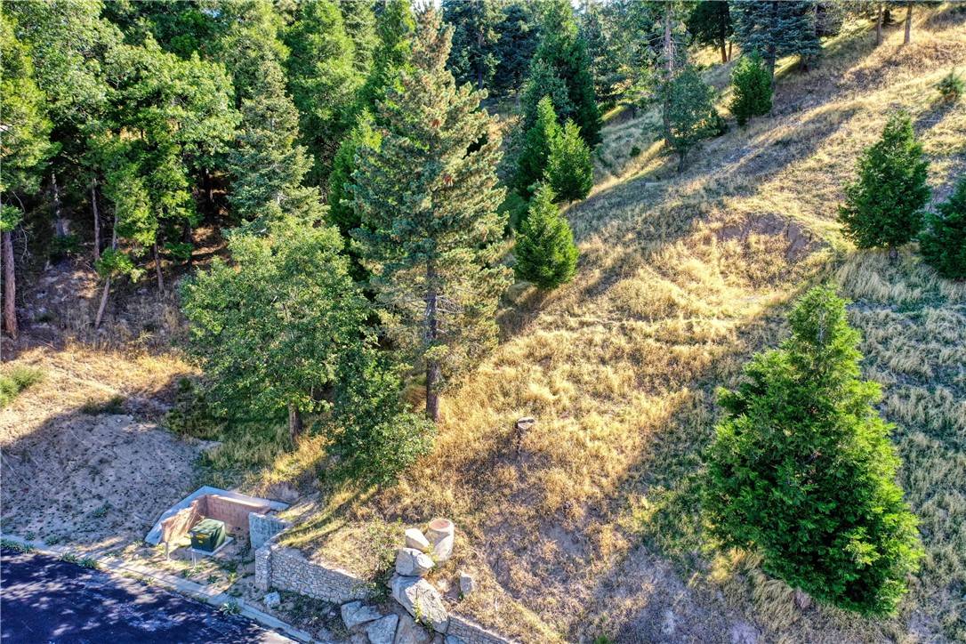 Lake Arrowhead, CA 92352,263 Hidden Forest