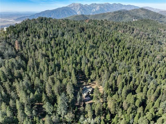 Cedarpines Park, CA 92322,22307 Crest Forest Drive