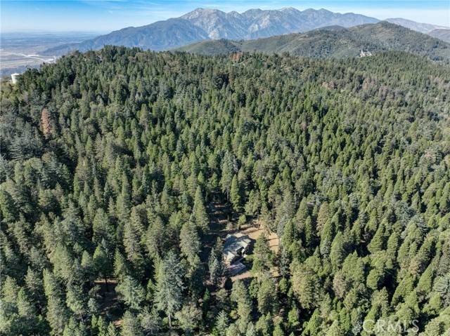 Cedarpines Park, CA 92322,22307 Crest Forest Drive