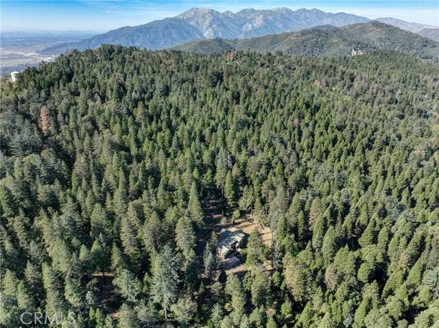 Cedarpines Park, CA 92322,22307 Crest Forest Drive