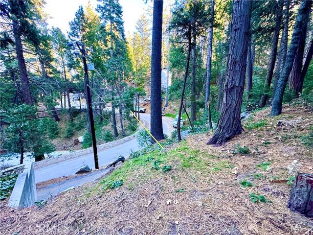 Crestline, CA 92325,0 Bernard