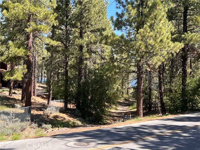 Big Bear Lake, CA 92315,39761 Lakeview