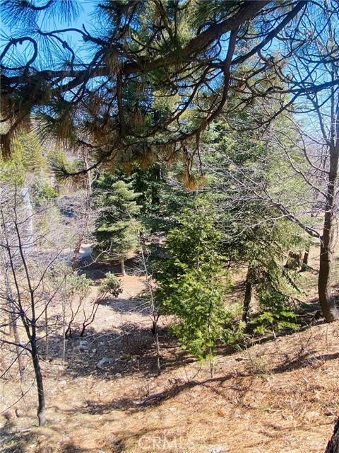 Lake Arrowhead, CA 92323,0 Circle