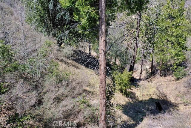 Cedar Glen, CA 92321,185 Lots 185 & 187 Acacia