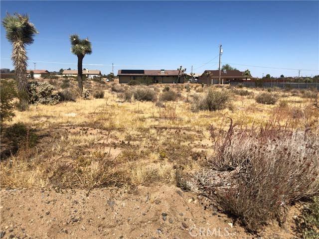 Yucca Valley, CA 92284,0 Pimlico