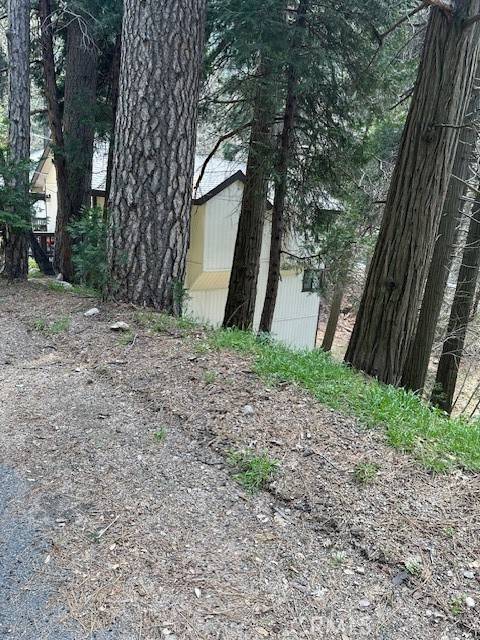 Crestline, CA 92325,0 Arbula