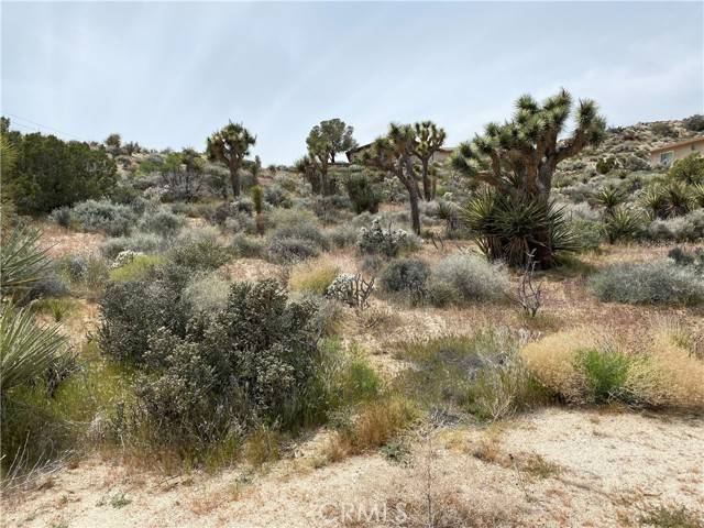 Yucca Valley, CA 92284,0 Farrelo