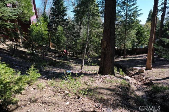 Twin Peaks, CA 92391,117 Lot 177 Lake View