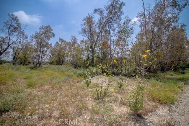 Devore, CA 92407,0 W Meyers