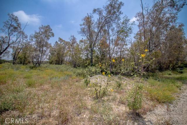 Devore, CA 92407,0 W Meyers