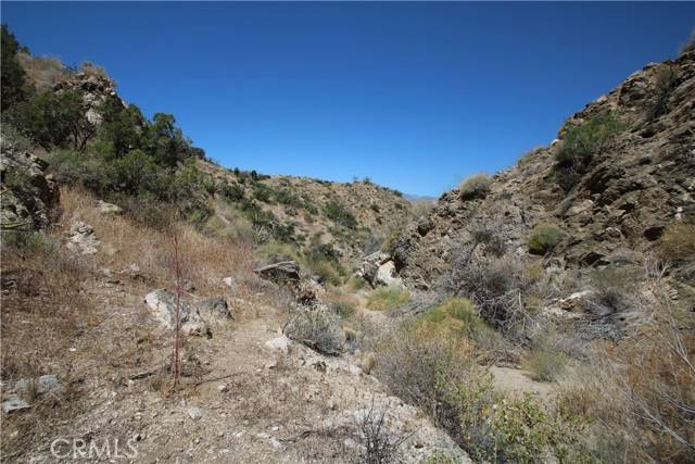 Morongo Valley, CA 92256,37 Lot 37 Samel