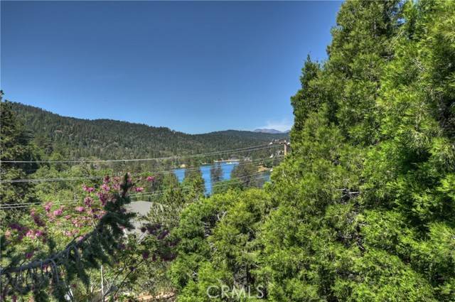 Crestline, CA 92325,508 Delle Drive