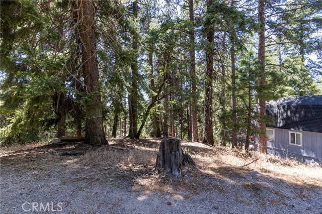 Running Springs, CA 92382,0 Ferndale