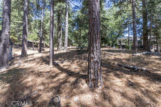 Running Springs, CA 92382,0 Ferndale