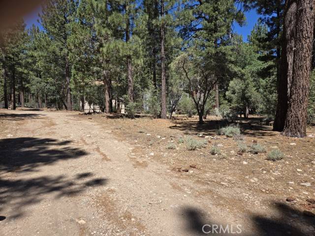 Big Bear City, CA 92314,0 Pine Ridge