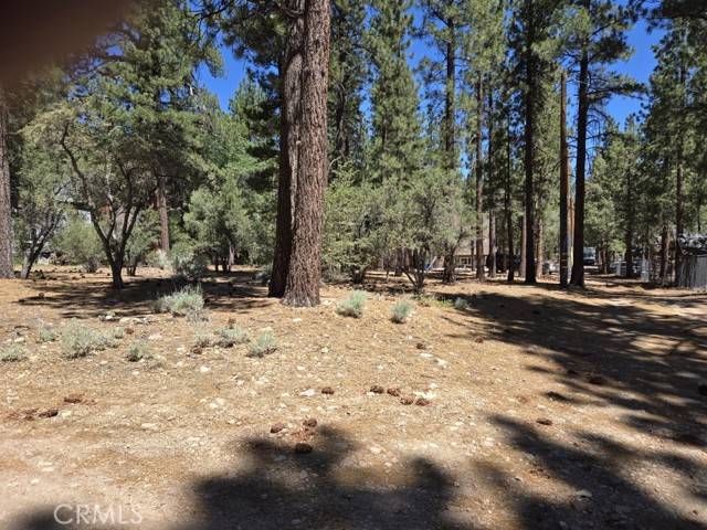 Big Bear City, CA 92314,0 Pine Ridge