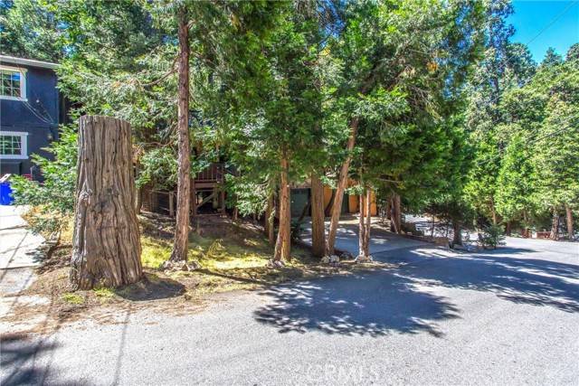 Crestline, CA 92325,24882 Felsen Drive