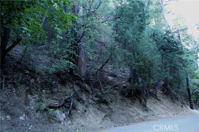 Lake Arrowhead, CA 92352,0 Community