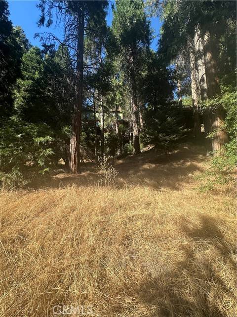 Crestline, CA 92325,0 Valle