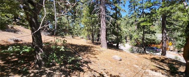 Running Springs, CA 92382,32311 FERN