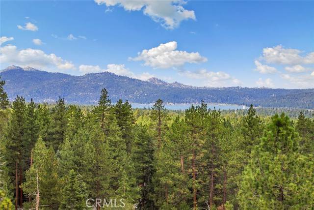 Big Bear Lake, CA 92315,43427 Ridgecrest Drive