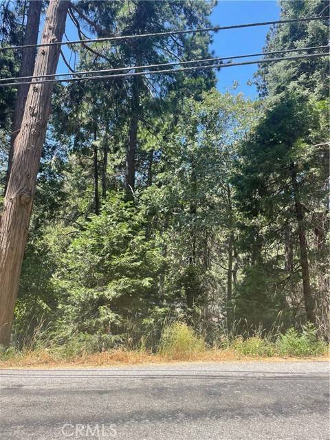 Lake Arrowhead, CA 92352,718 Arrowhead Villas Rd.