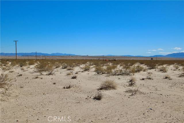 Joshua Tree, CA 92252,16 Lot 16 Learco