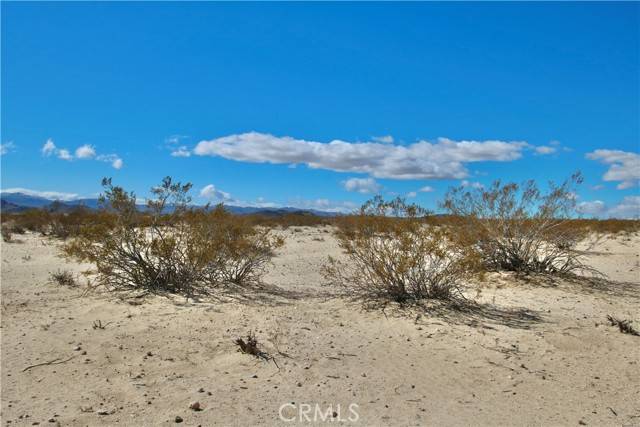 Joshua Tree, CA 92252,16 Lot 16 Learco