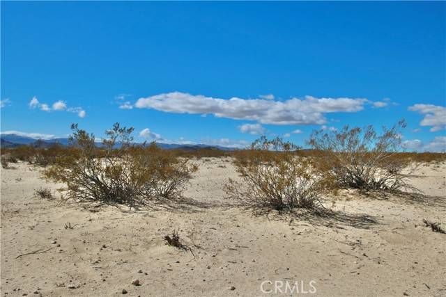 Joshua Tree, CA 92252,16 Lot 16 Learco