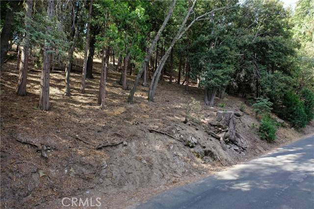 Crestline, CA 92325,127 Lot 127 Basel