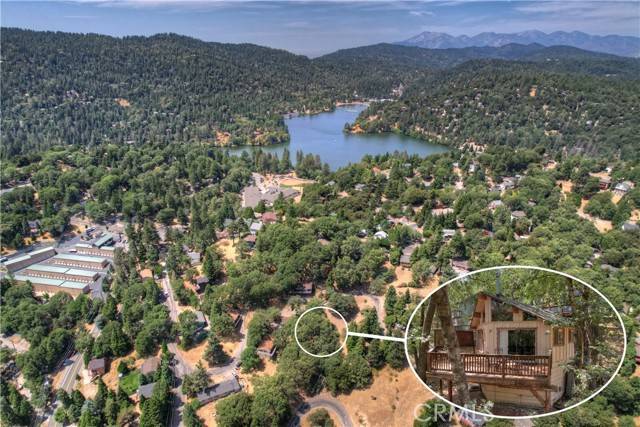 Crestline, CA 92325,463 Dunant Drive