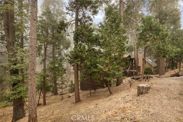 Crestline, CA 92325,24962 Faulhorn Drive